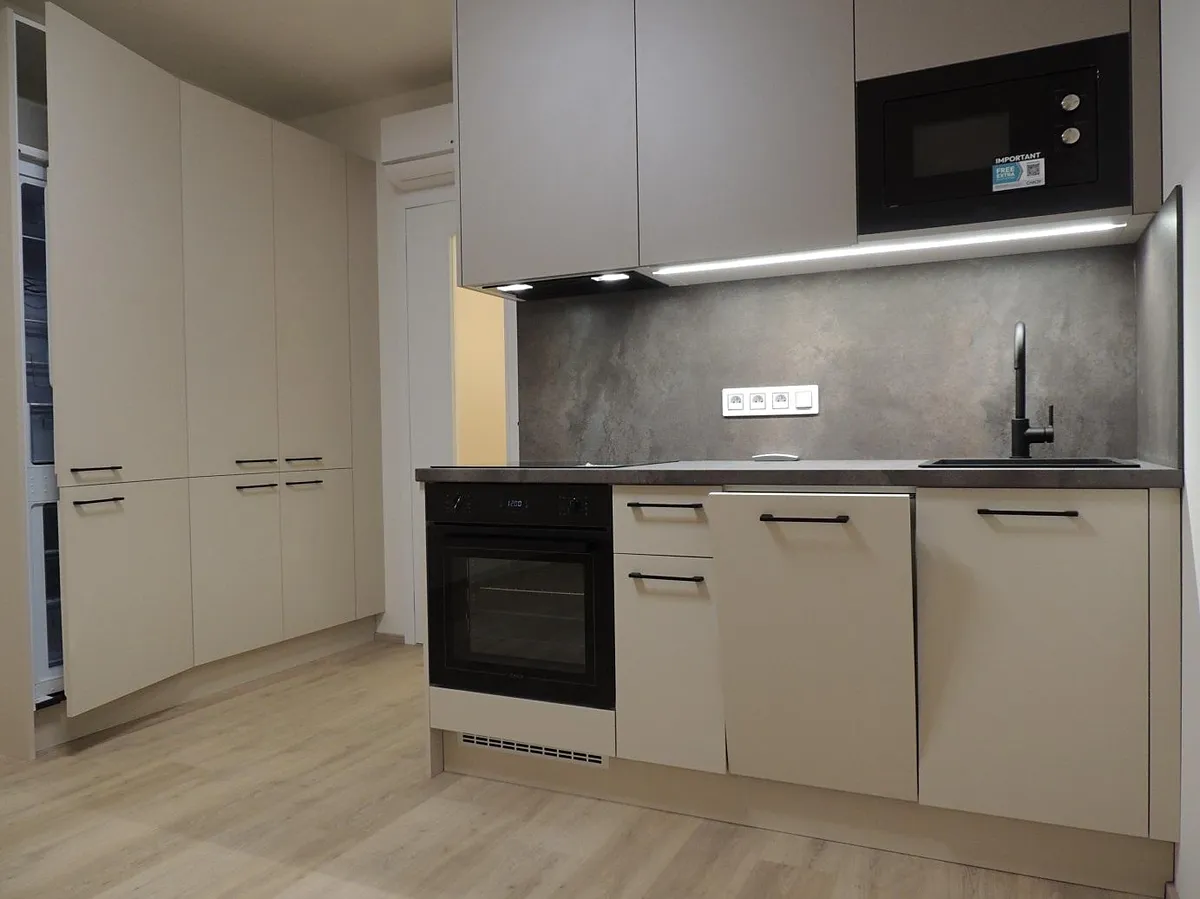 Pronájem bytu 1+kk 39 m²